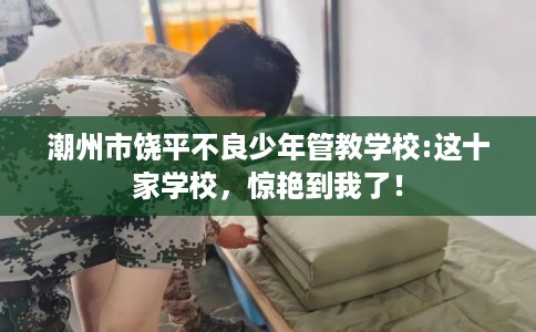 潮州市饶平不良少年管教学校:这十家学校，惊艳到我了！