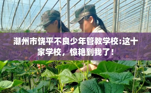 潮州市饶平不良少年管教学校:这十家学校，惊艳到我了！
