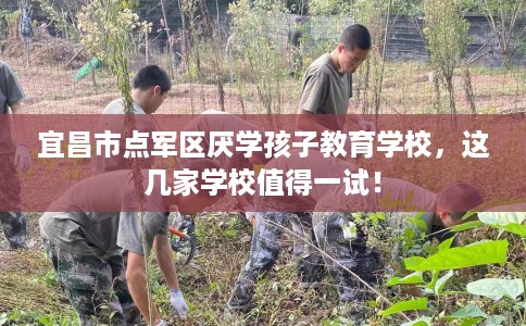 宜昌市点军区厌学孩子教育学校,这几家学校值得一试! 宜昌市点军区厌学孩子教育学校,这几家学校值得一试!