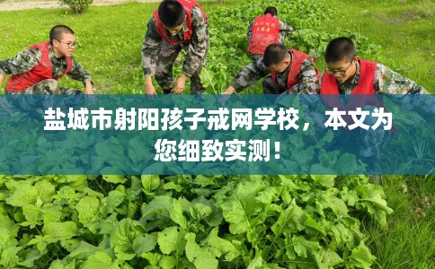 盐城市射阳孩子戒网学校,本文为您细致实测! 盐城市射阳孩子戒网学校,本文为您细致实测!