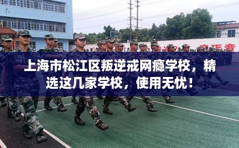 上海市松江区叛逆戒网瘾学校,精选这几家学校,使用无忧! 上海市松江区叛逆戒网瘾学校,精选这几家学校,使用无忧!