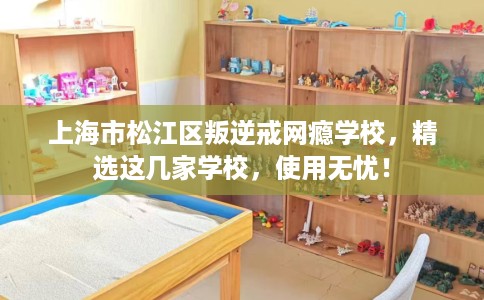 上海市松江区叛逆戒网瘾学校，精选这几家学校，使用无忧！