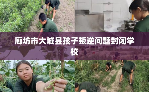 廊坊市大城县孩子叛逆问题封闭学校 廊坊市大城县孩子叛逆问题封闭学校