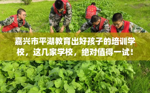 嘉兴市平湖教育出好孩子的培训学校,这几家学校,绝对值得一试! 嘉兴市平湖教育出好孩子的培训学校,这几家学校,绝对值得一试!