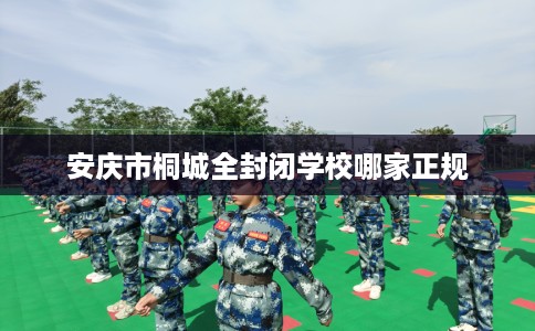 安庆市桐城全封闭学校哪家正规 安庆市桐城全封闭学校哪家正规
