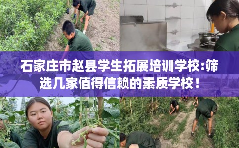 石家庄市赵县学生拓展培训学校:筛选几家值得信赖的素质学校! 石家庄市赵县学生拓展培训学校:筛选几家值得信赖的素质学校!