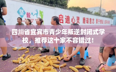四川省宜宾市青少年叛逆封闭式学校,推荐这十家不容错过! 四川省宜宾市青少年叛逆封闭式学校,推荐这十家不容错过!