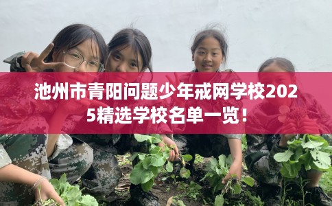 池州市青阳问题少年戒网学校2025精选学校名单一览! 池州市青阳问题少年戒网学校2025精选学校名单一览!