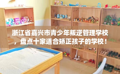 浙江省嘉兴市青少年叛逆管理学校,盘点十家适合矫正孩子的学校! 浙江省嘉兴市青少年叛逆管理学校,盘点十家适合矫正孩子的学校!
