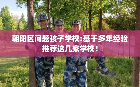 朝阳区问题孩子学校:基于多年经验推荐这几家学校！