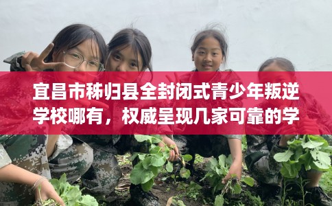宜昌市秭归县全封闭式青少年叛逆学校哪有，权威呈现几家可靠的学校！