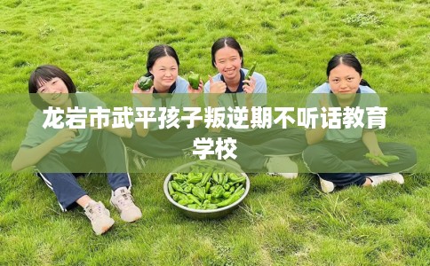 龙岩市武平孩子叛逆期不听话教育学校
