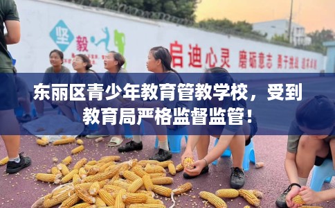 东丽区青少年教育管教学校，受到教育局严格监督监管！