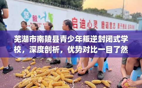 芜湖市南陵县青少年叛逆封闭式学校,深度剖析,优势对比一目了然! 芜湖市南陵县青少年叛逆封闭式学校,深度剖析,优势对比一目了然!