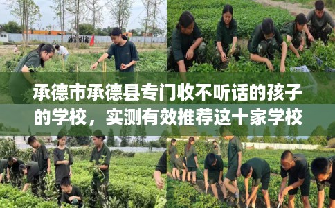承德市承德县专门收不听话的孩子的学校,实测有效推荐这十家学校试试看! 承德市承德县专门收不听话的孩子的学校,实测有效推荐这十家学校试试看!