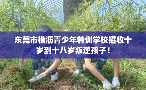 东莞市横沥青少年特训学校招收十岁到十八岁叛逆孩子! 东莞市横沥青少年特训学校招收十岁到十八岁叛逆孩子!