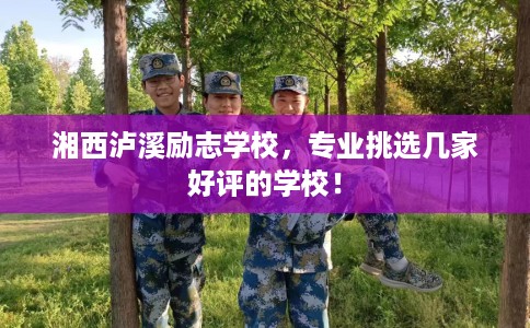湘西泸溪励志学校，专业挑选几家好评的学校！
