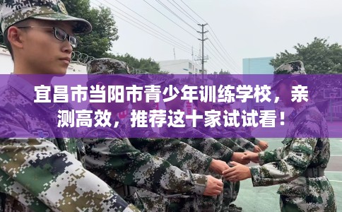 宜昌市当阳市青少年训练学校,亲测高效,推荐这十家试试看! 宜昌市当阳市青少年训练学校,亲测高效,推荐这十家试试看!