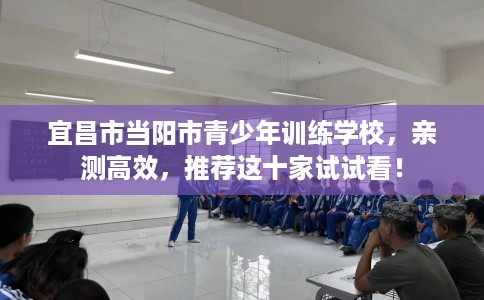 宜昌市当阳市青少年训练学校，亲测高效，推荐这十家试试看！