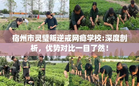 宿州市灵璧叛逆戒网瘾学校:深度剖析，优势对比一目了然！