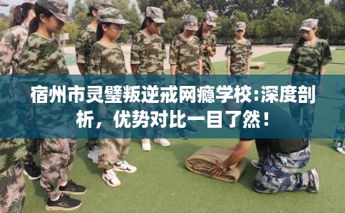 宿州市灵璧叛逆戒网瘾学校:深度剖析，优势对比一目了然！