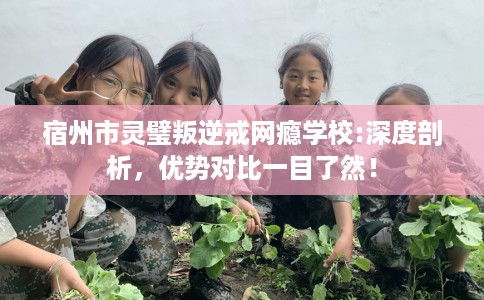 宿州市灵璧叛逆戒网瘾学校:深度剖析，优势对比一目了然！