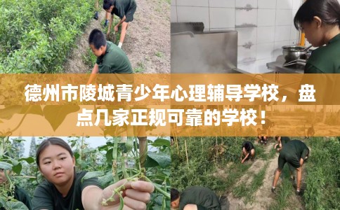 德州市陵城青少年心理辅导学校，盘点几家正规可靠的学校！