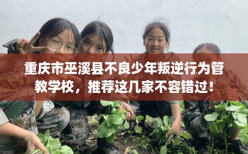重庆市巫溪县不良少年叛逆行为管教学校，推荐这几家不容错过！