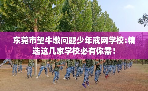 东莞市望牛墩问题少年戒网学校:精选这几家学校必有你需! 东莞市望牛墩问题少年戒网学校:精选这几家学校必有你需!