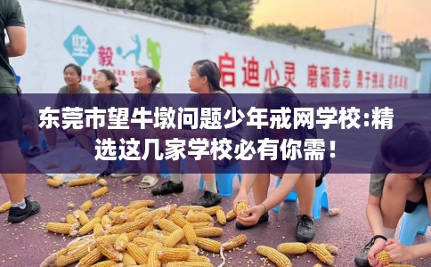 东莞市望牛墩问题少年戒网学校:精选这几家学校必有你需! 东莞市望牛墩问题少年戒网学校:精选这几家学校必有你需!