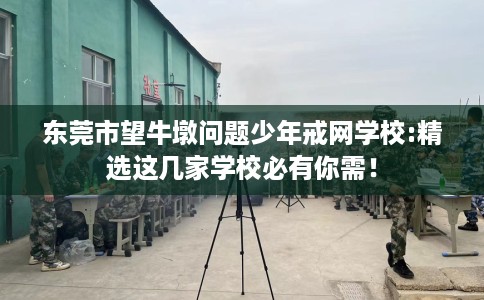 东莞市望牛墩问题少年戒网学校:精选这几家学校必有你需！