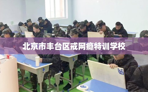 北京市丰台区戒网瘾特训学校 北京市丰台区戒网瘾特训学校