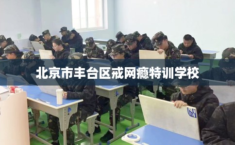 北京市丰台区戒网瘾特训学校