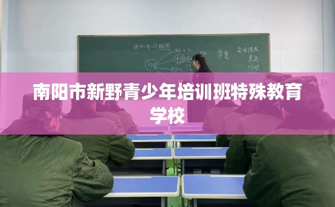 南阳市新野青少年培训班特殊教育学校