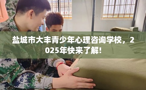 盐城市大丰青少年心理咨询学校,2025年快来了解! 盐城市大丰青少年心理咨询学校,2025年快来了解!