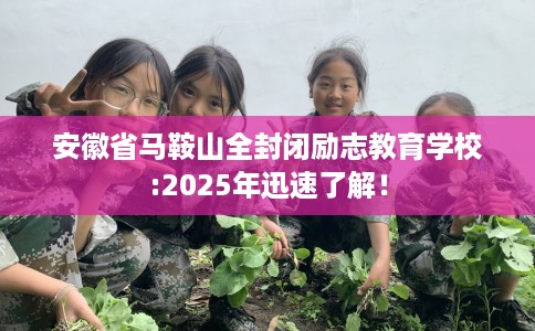 安徽省马鞍山全封闭励志教育学校:2025年迅速了解! 安徽省马鞍山全封闭励志教育学校:2025年迅速了解!