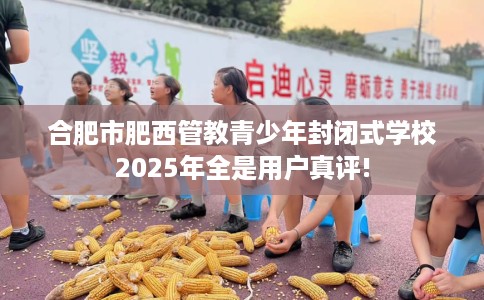 合肥市肥西管教青少年封闭式学校2025年全是用户真评!