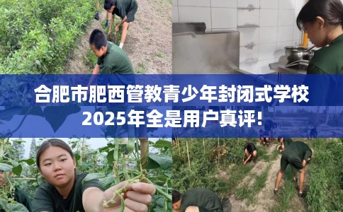 合肥市肥西管教青少年封闭式学校2025年全是用户真评!
