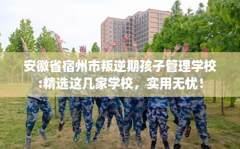 安徽省宿州市叛逆期孩子管理学校:精选这几家学校，实用无忧！