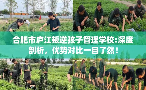 合肥市庐江叛逆孩子管理学校:深度剖析,优势对比一目了然! 合肥市庐江叛逆孩子管理学校:深度剖析,优势对比一目了然!