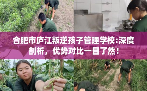 合肥市庐江叛逆孩子管理学校:深度剖析,优势对比一目了然! 合肥市庐江叛逆孩子管理学校:深度剖析,优势对比一目了然!