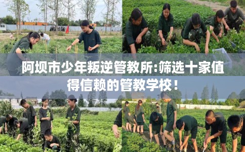 阿坝市少年叛逆管教所:筛选十家值得信赖的管教学校！