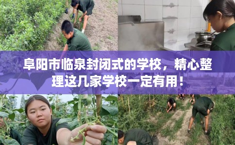 阜阳市临泉封闭式的学校，精心整理这几家学校一定有用！