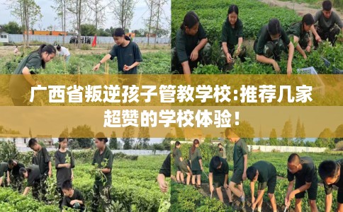 广西省叛逆孩子管教学校:推荐几家超赞的学校体验! 广西省叛逆孩子管教学校:推荐几家超赞的学校体验!