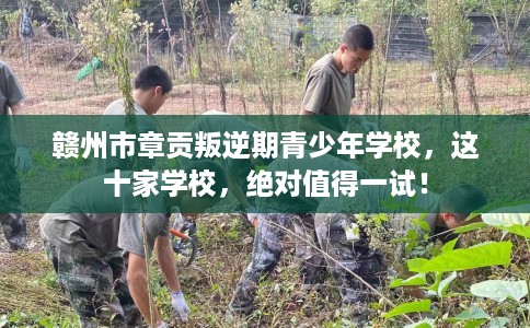 赣州市章贡叛逆期青少年学校，这十家学校，绝对值得一试！