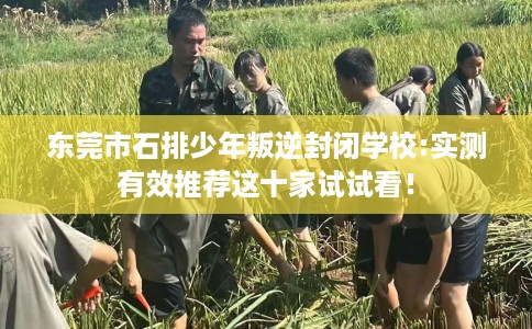 东莞市石排少年叛逆封闭学校:实测有效推荐这十家试试看！