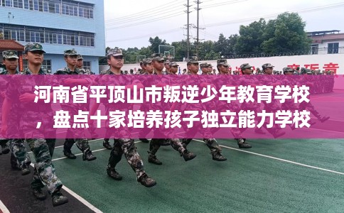 河南省平顶山市叛逆少年教育学校，盘点十家培养孩子独立能力学校！