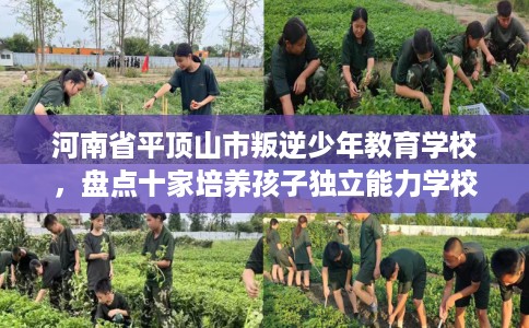 河南省平顶山市叛逆少年教育学校，盘点十家培养孩子独立能力学校！