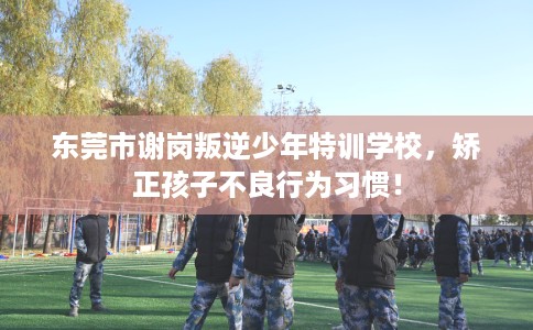 东莞市谢岗叛逆少年特训学校，矫正孩子不良行为习惯！