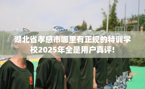 湖北省孝感市哪里有正规的特训学校2025年全是用户真评!